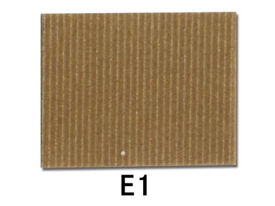 E1