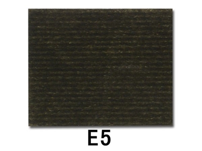 E5